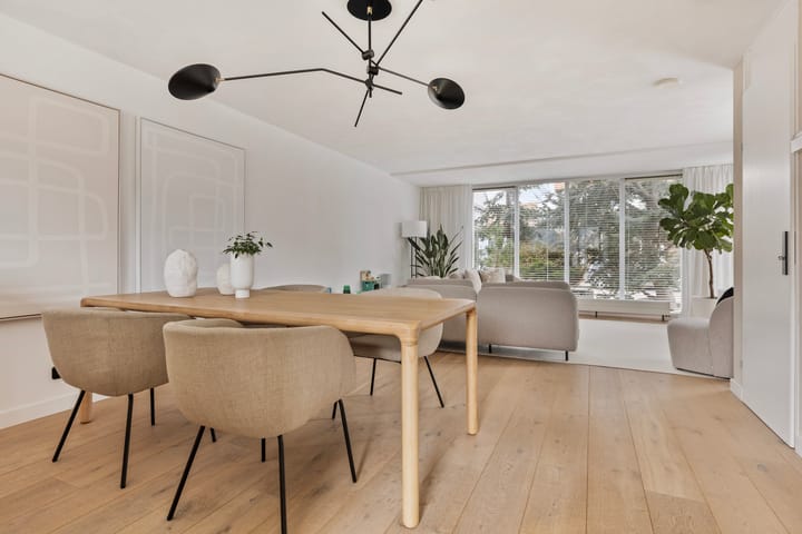 Foto 7 van Dorsvlegel 32