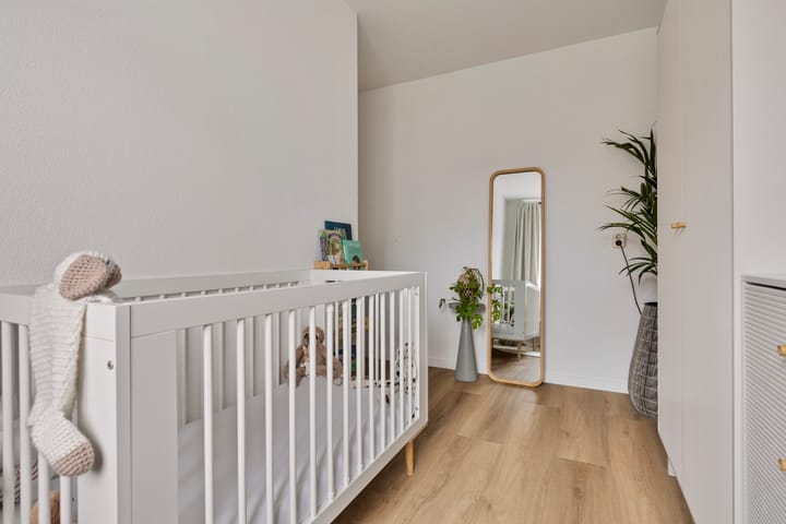 Foto 21 van Dorsvlegel 32