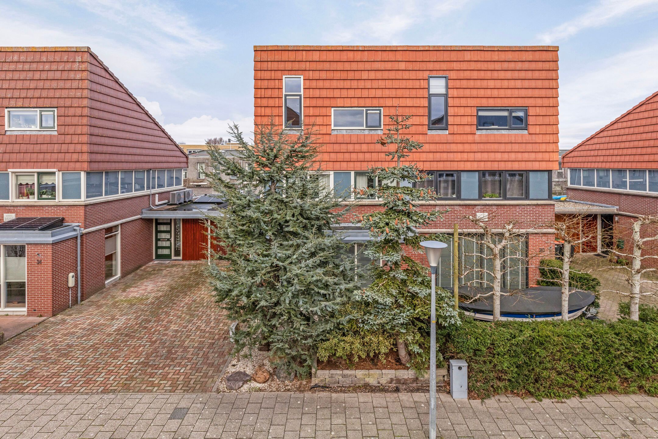 Foto 33 van Dorsvlegel 32