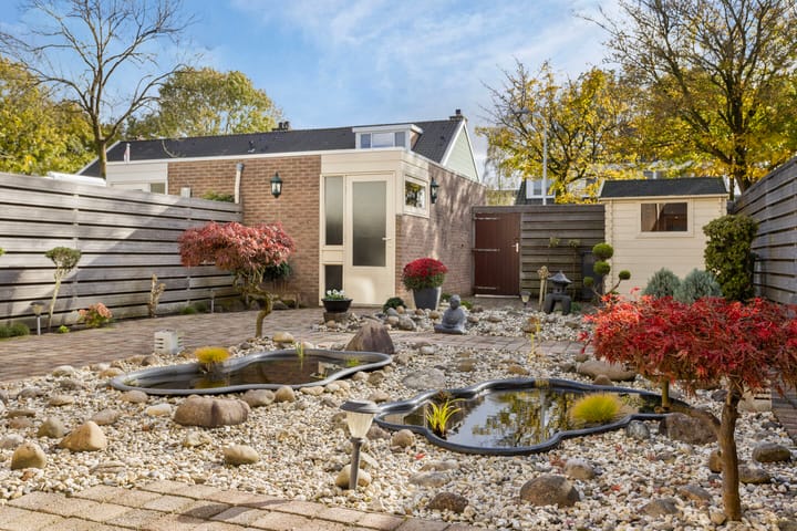 Foto 3 van Gouwzoom 8