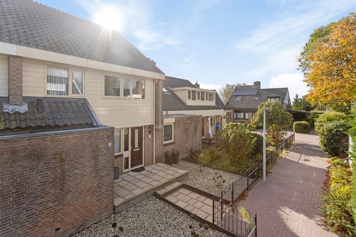 Foto 6 van Gouwzoom 8