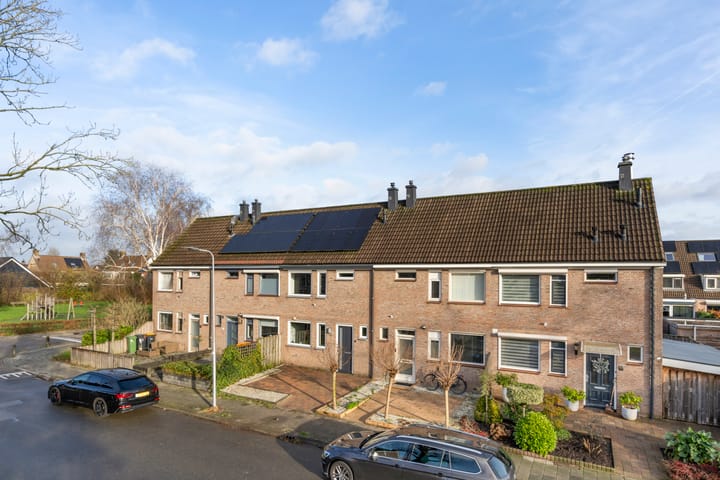 Foto 1 van Valeriaan 6