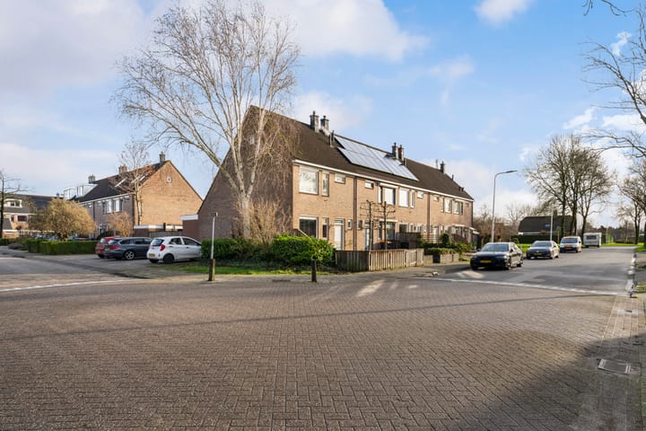 Foto 5 van Valeriaan 6