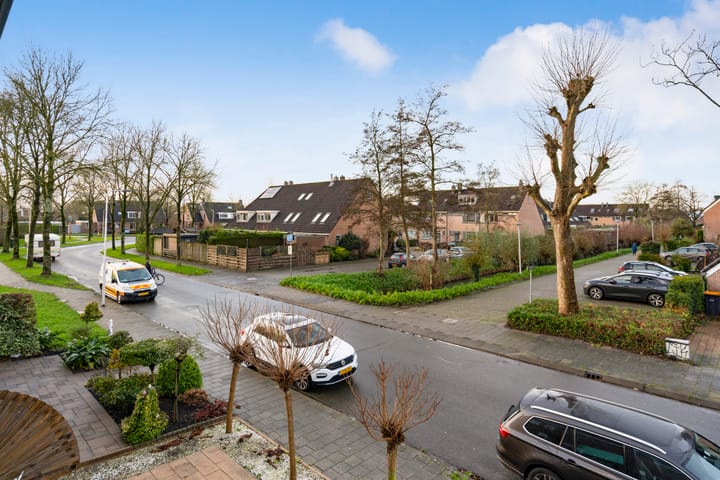 Foto 38 van Valeriaan 6