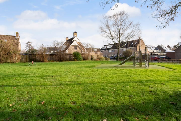 Foto 39 van Valeriaan 6