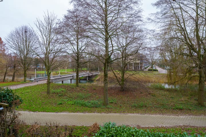 Foto 19 van Louis Davidsstraat 36