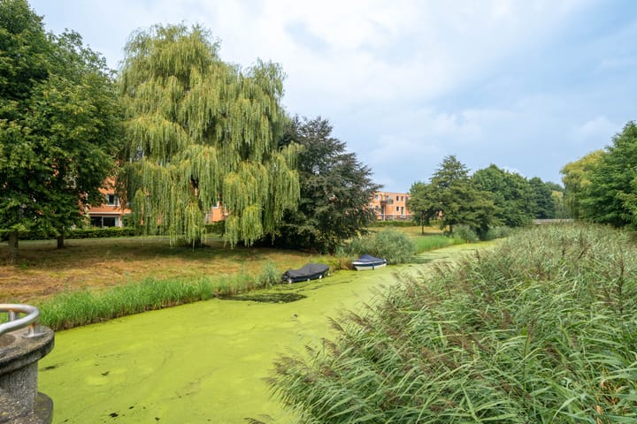 Foto 29 van Louis Davidsstraat 36