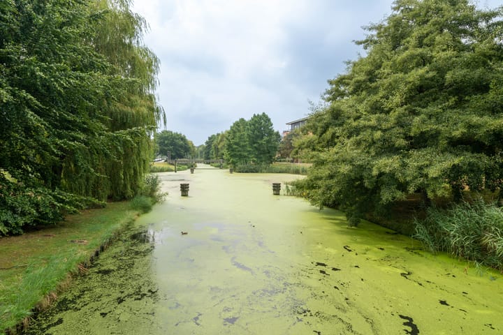 Foto 30 van Louis Davidsstraat 36