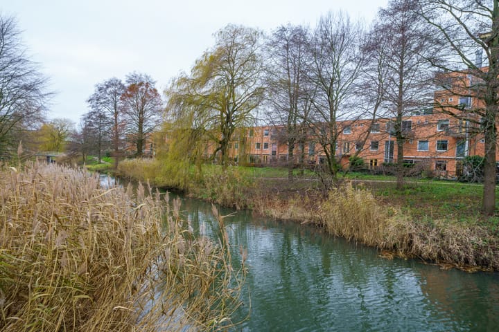 Foto 36 van Louis Davidsstraat 36