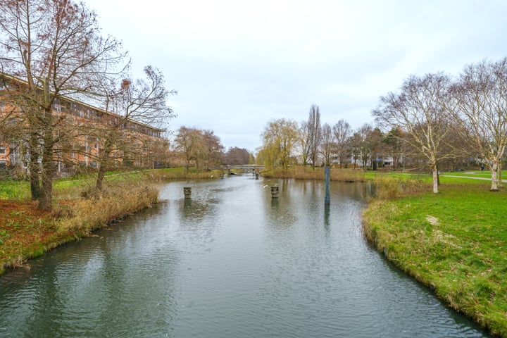 Bekijk foto 37 van Louis Davidsstraat 36