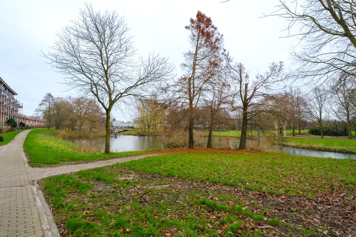 Foto 38 van Louis Davidsstraat 36