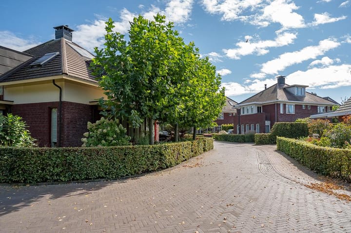 Foto 10 van de Biezenbusse 10