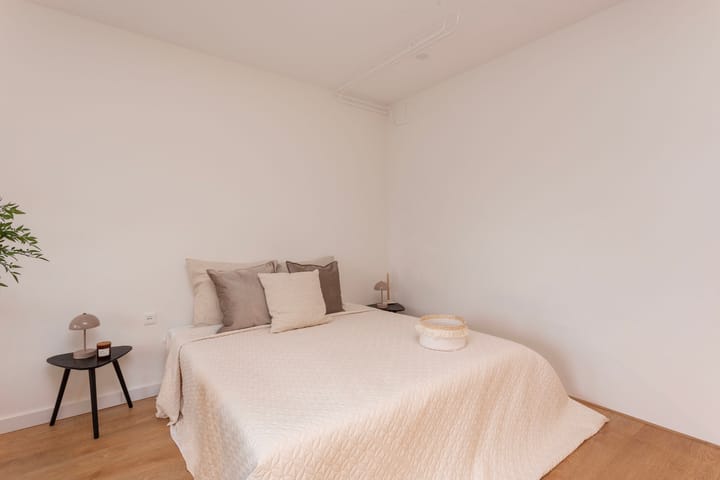 Foto 4 van Springweg 448