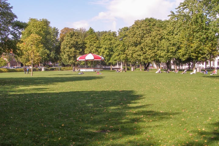 Foto 29 van Springweg 448