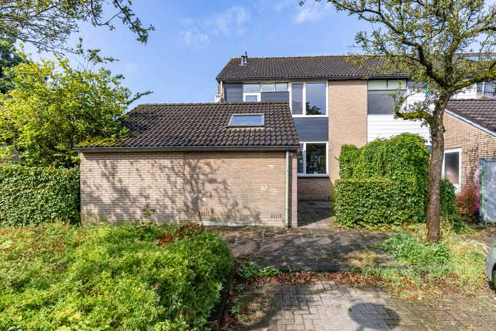 Foto 7 van Watermunt 36