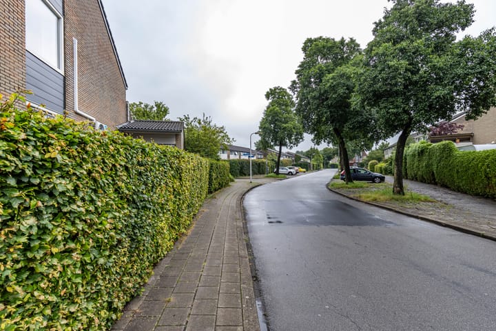 Foto 9 van Watermunt 36