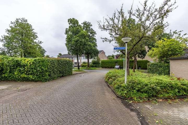 Foto 10 van Watermunt 36