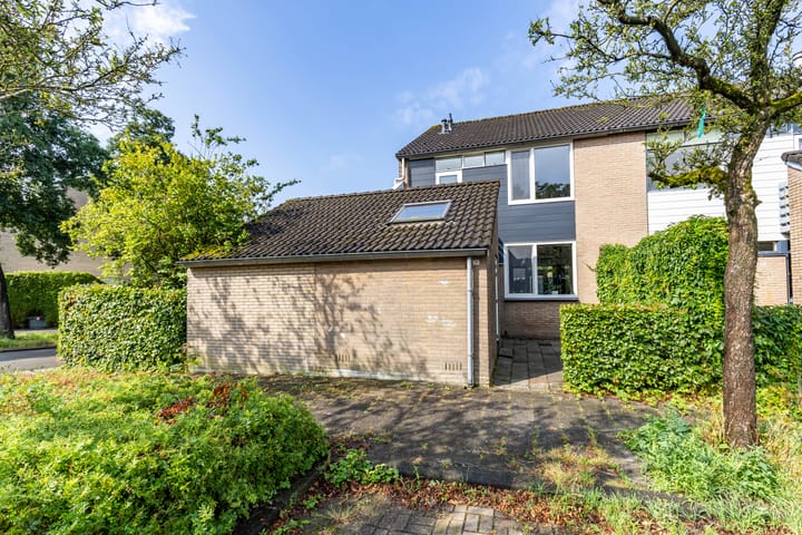 Foto 6 van Watermunt 36