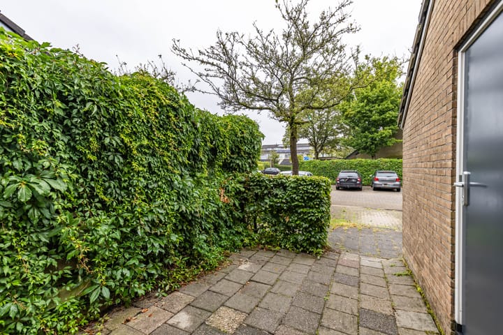 Foto 12 van Watermunt 36