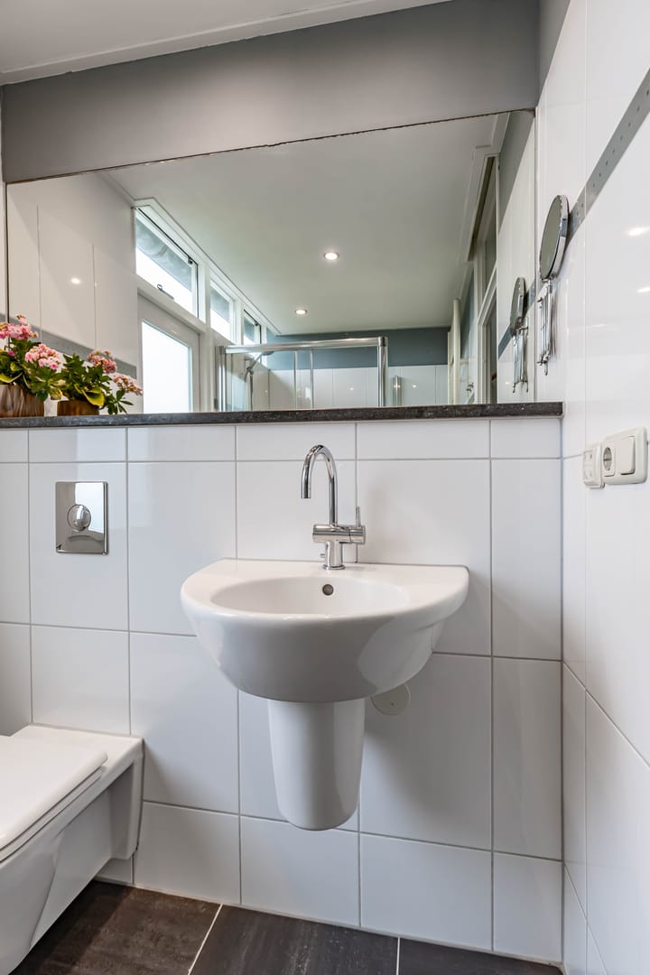 Foto 33 van Watermunt 36