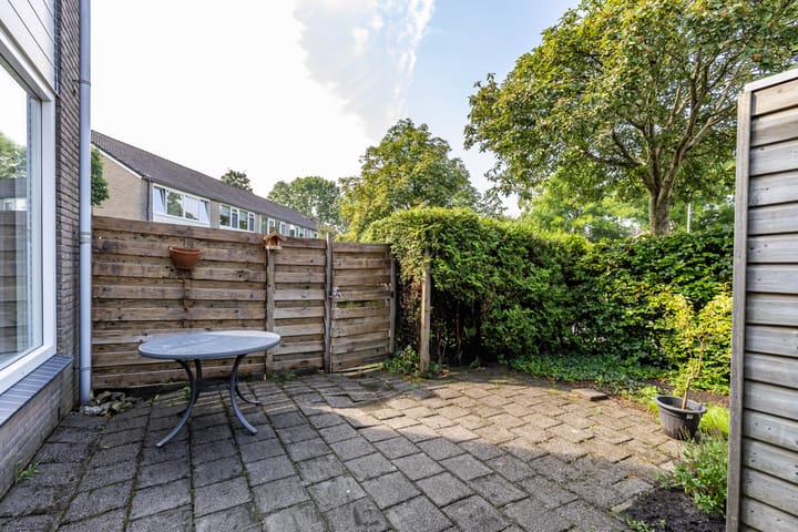 Foto 40 van Watermunt 36