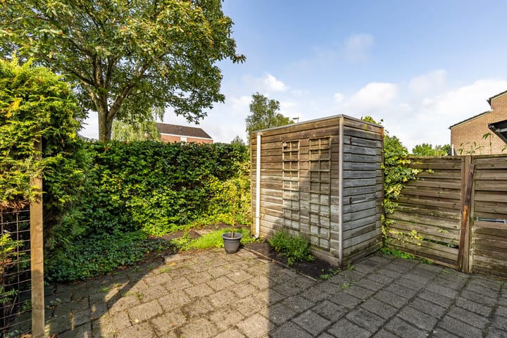 Foto 41 van Watermunt 36