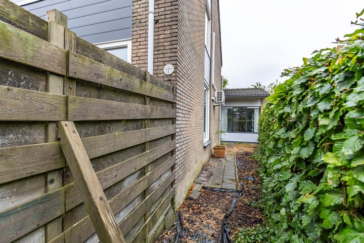 Foto 42 van Watermunt 36