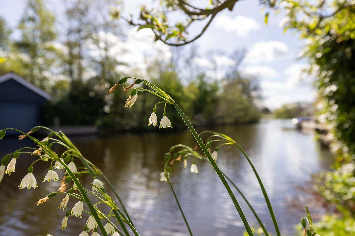 Foto 55 van Clinckenburgh 39