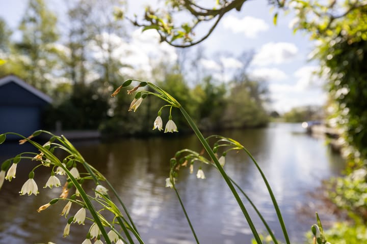 Foto 55 van Clinckenburgh 39