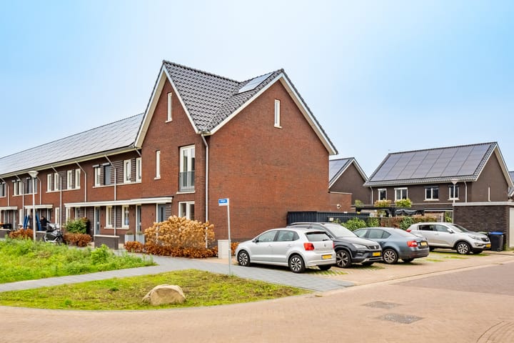 Foto 43 van Kuilgras 1