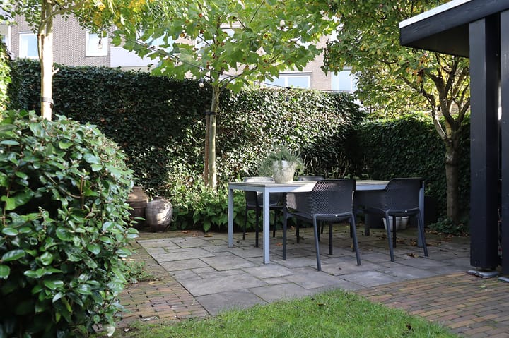 Foto 19 van Waldeck Pyrmontstraat 6