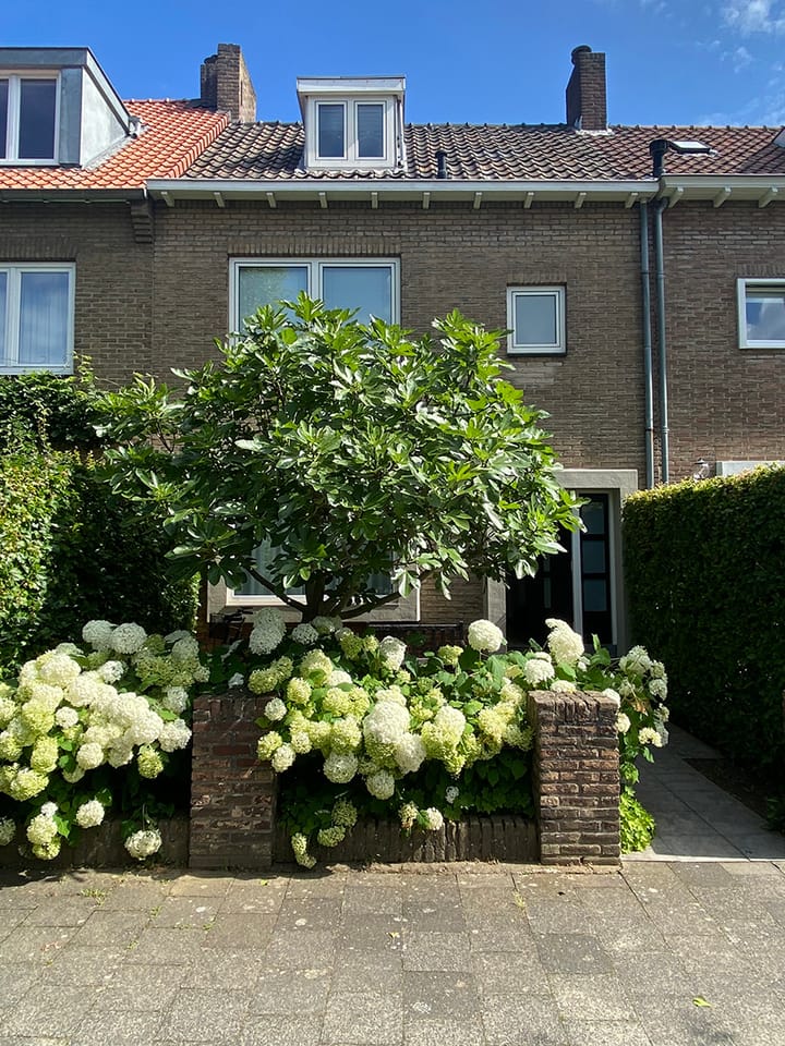 Foto 20 van Waldeck Pyrmontstraat 6