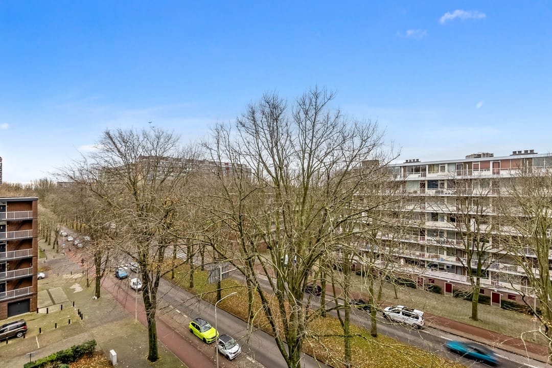 Foto 17 van Volendamlaan 905