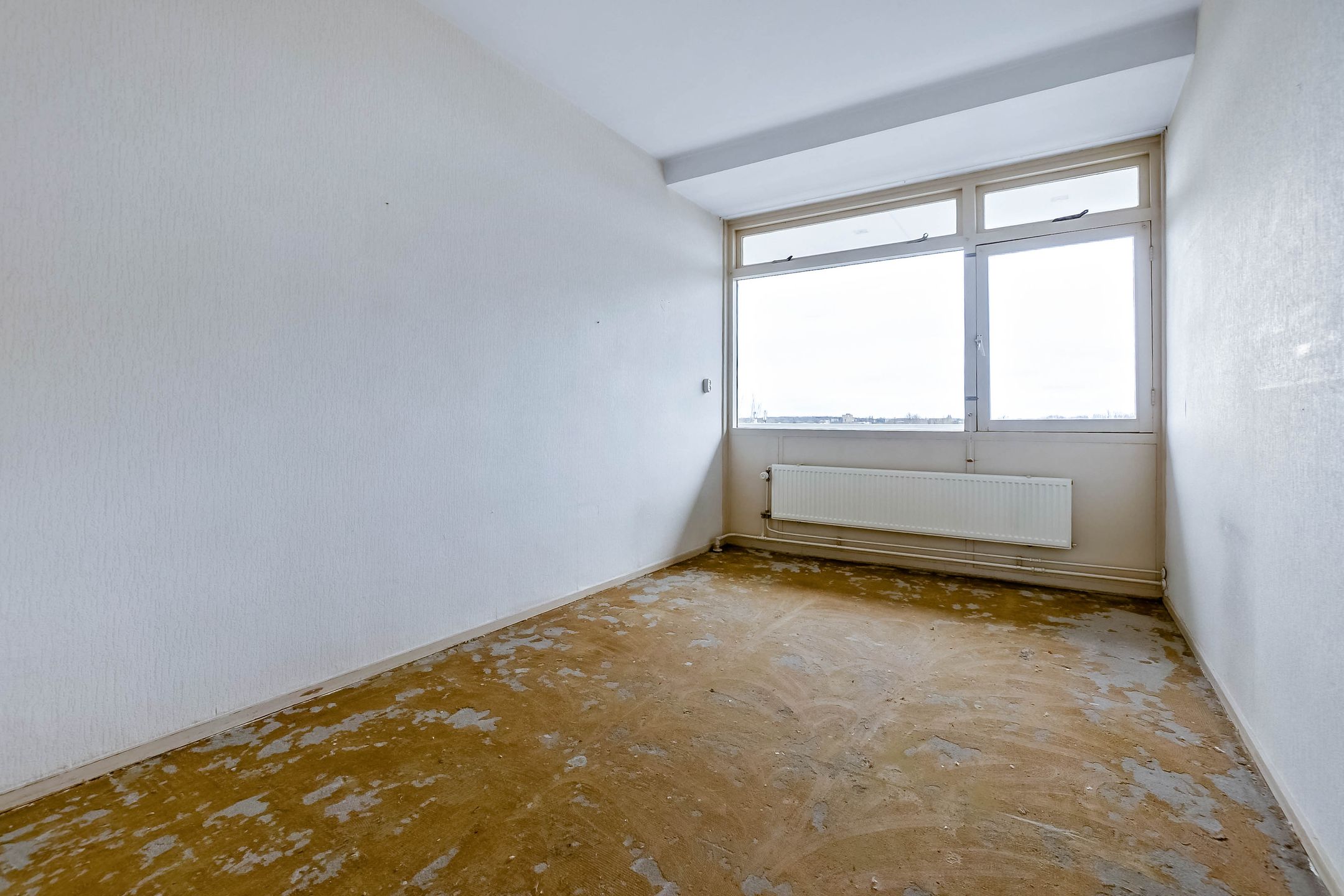 Foto 21 van Volendamlaan 905