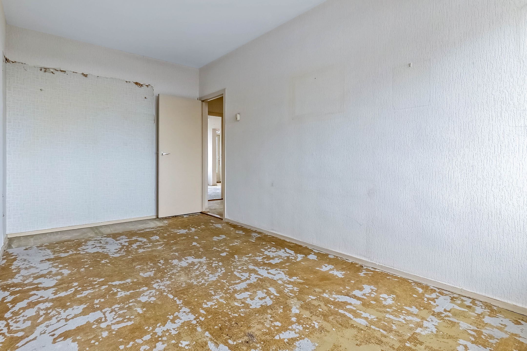 Foto 24 van Volendamlaan 905