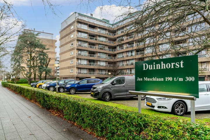 Foto 2 van Jan Muschlaan 270