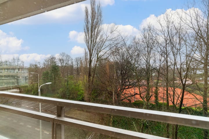 Foto 10 van Jan Muschlaan 270