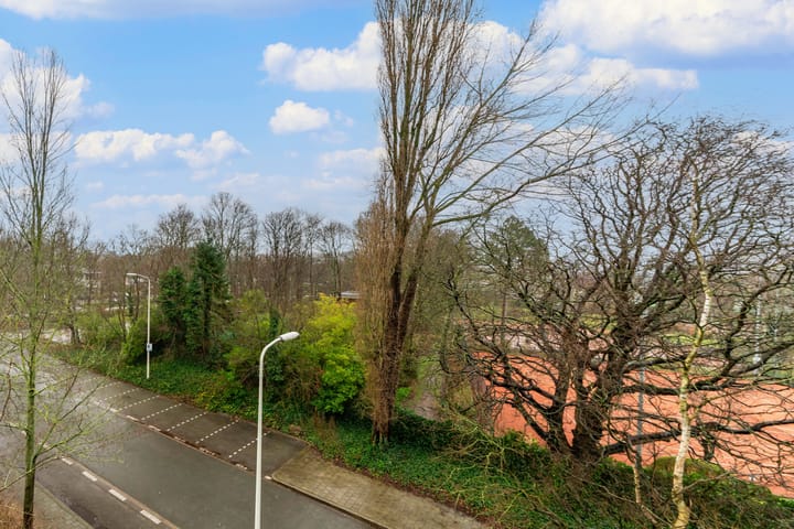 Foto 13 van Jan Muschlaan 270