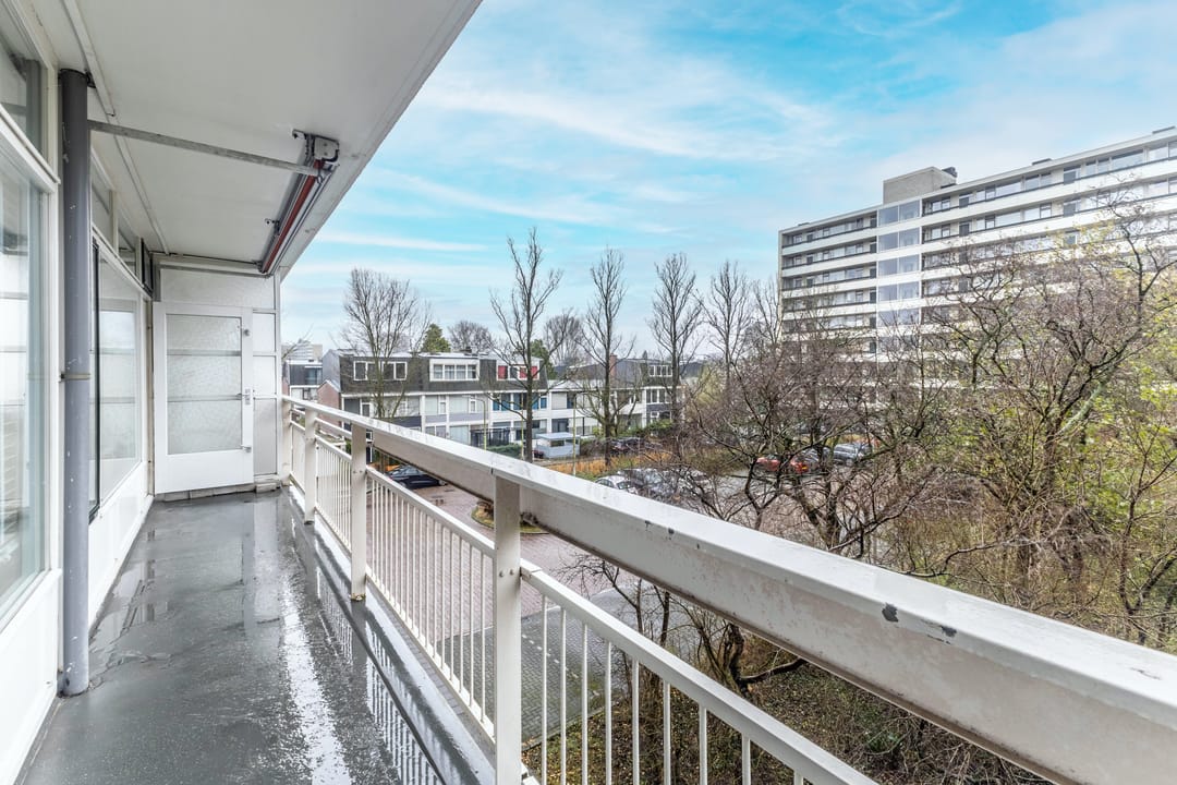 Foto 17 van Sint Philipsland 43