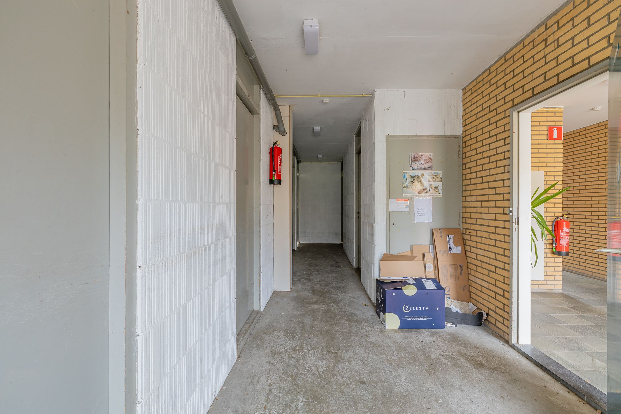 Foto 33 van Jacob Pieterse Boreelstraat 42