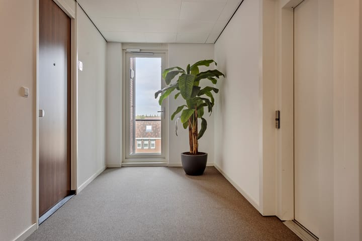 Foto 5 van Draaistok 24