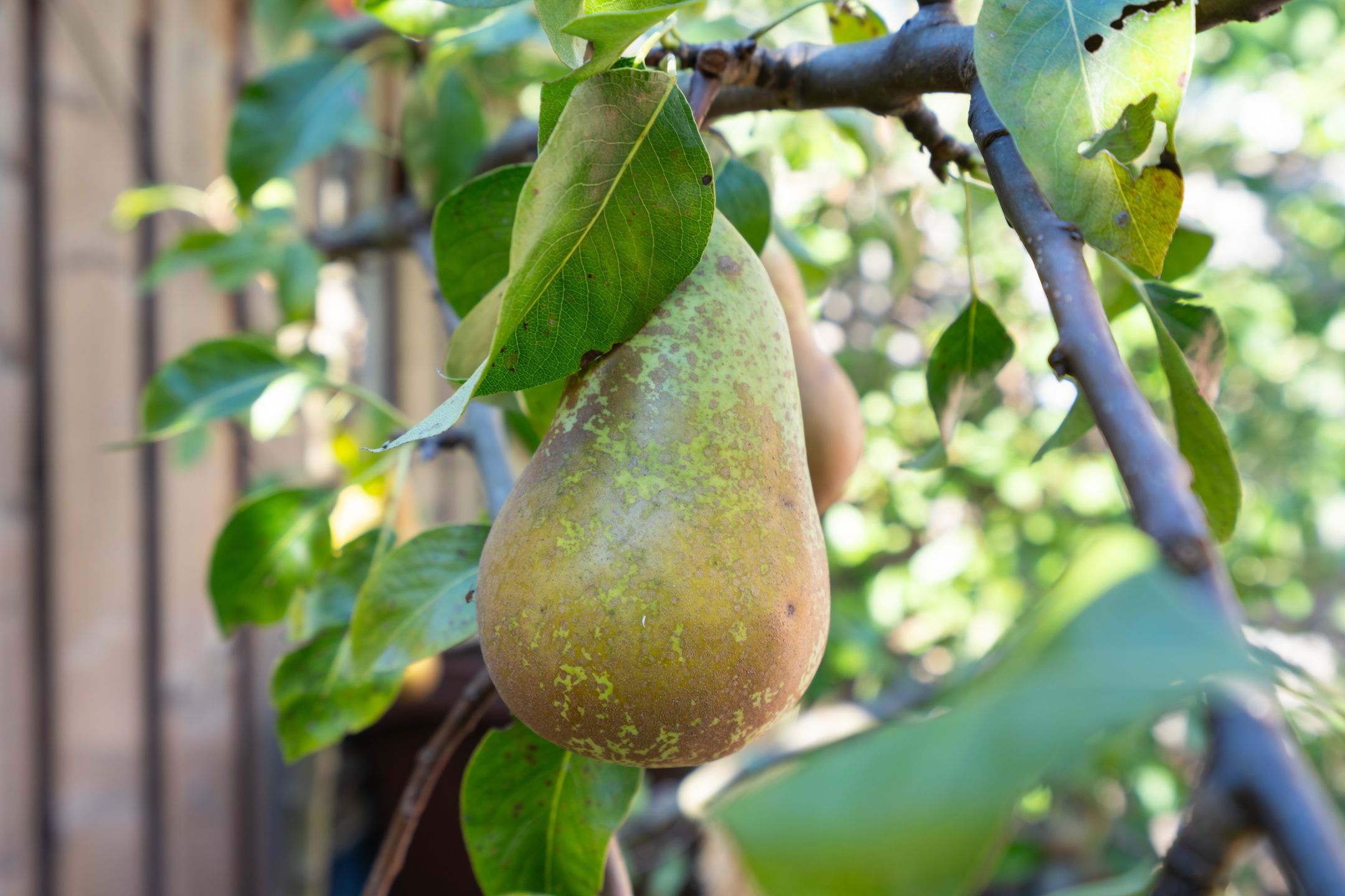 Photo 24 of Bloemstraat 5