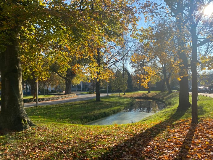 Photo 37 of Bloemstraat 5