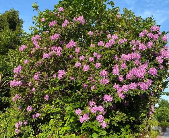 Bekijk foto 28 van Kakertsweg 54