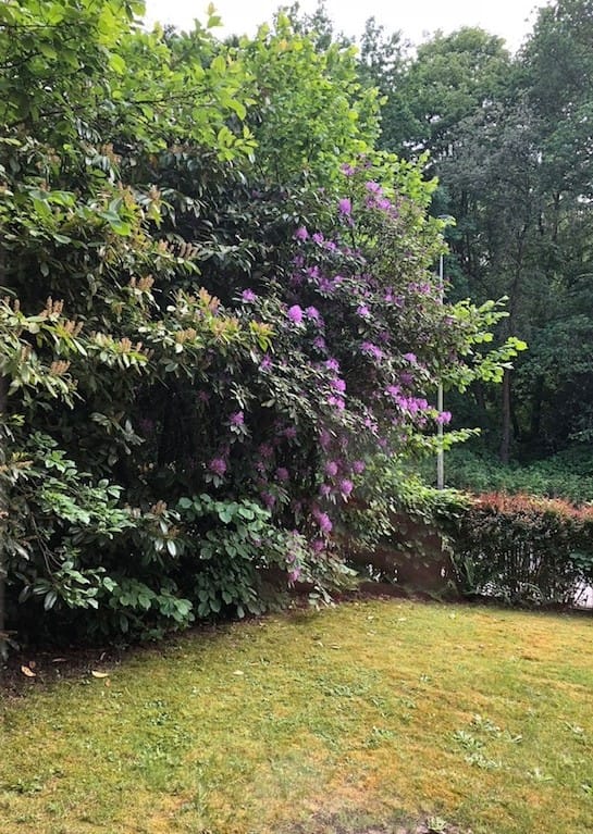 Foto 30 van Kakertsweg 54