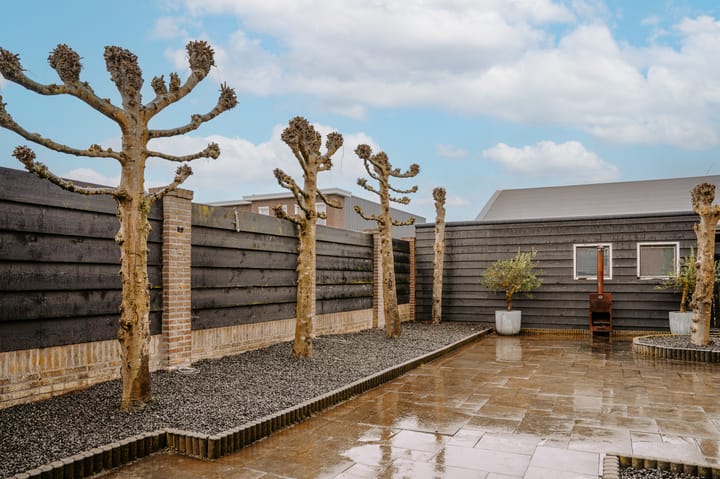 Foto 38 van Witboomstraat 42