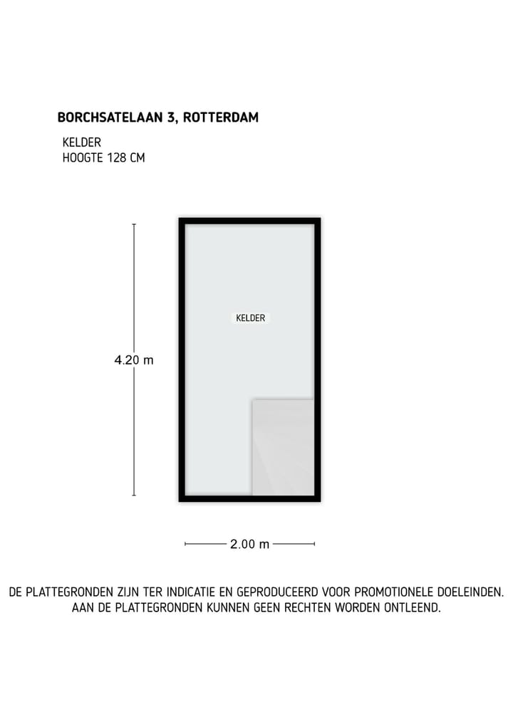 Foto 19 van Borchsatelaan 3