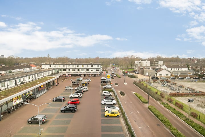 Bekijk foto 29 van Straakvense Bosdijk 81