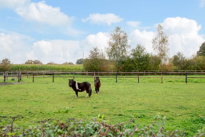 Foto 41 van Hoge Valkseweg 95