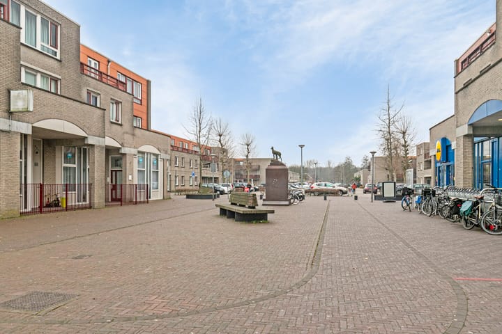 Foto 32 van Saffraanplein 13